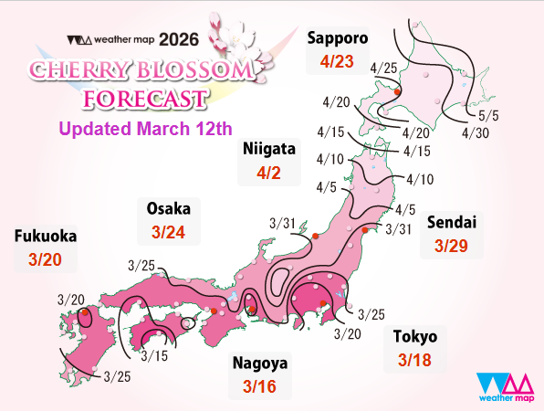 Sakura Zensen: Charting the Cherry Blossom Front — The Rikumo Journal